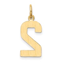 14K Yellow Gold Medium Polished Number 2 Charm view 3