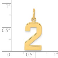 14K Yellow Gold Medium Polished Number 2 Charm view 4