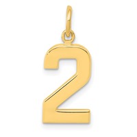 14K Yellow Gold Medium Polished Number 2 Charm view 1