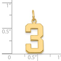 14K Yellow Gold Medium Polished Number 3 Charm view 4