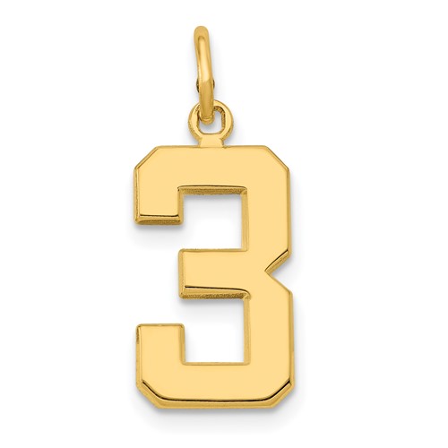 14K Yellow Gold Medium Polished Number 3 Charm
