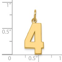 14K Yellow Gold Medium Polished Number 4 Charm view 4