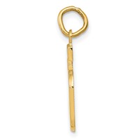 14K Yellow Gold Medium Polished Number 5 Charm view 2