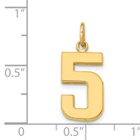 14K Yellow Gold Medium Polished Number 5 Charm view 4