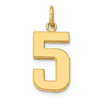 14K Yellow Gold Medium Polished Number 5 Charm view 1