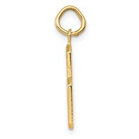 14K Yellow Gold Medium Polished Number 6 Charm view 2