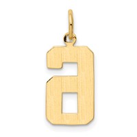 14K Yellow Gold Medium Polished Number 6 Charm view 3