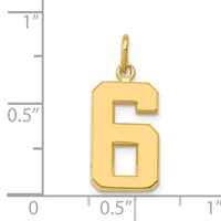 14K Yellow Gold Medium Polished Number 6 Charm view 4
