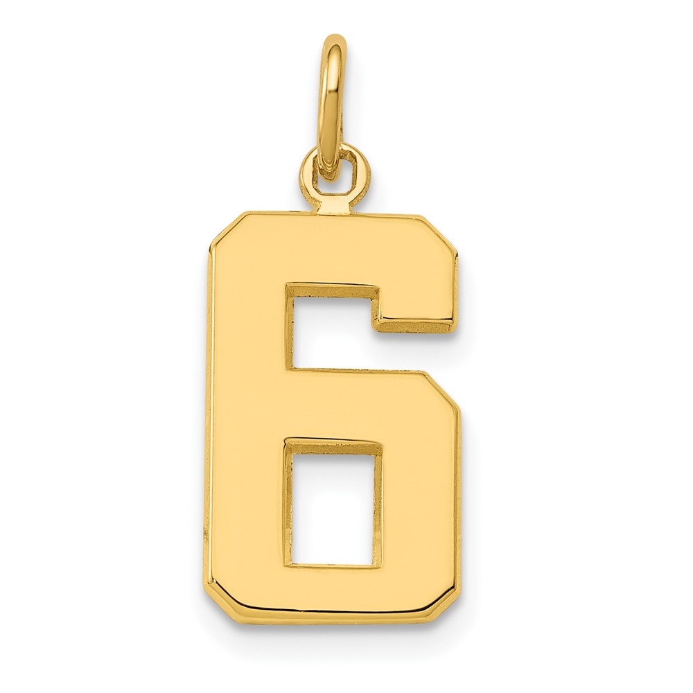 14K Yellow Gold Medium Polished Number 6 Charm
