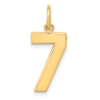 14K Yellow Gold Medium Polished Number 7 Charm view 1