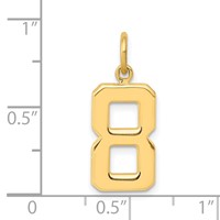 14K Medium Polished Number 8 Charm view 4