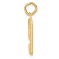 14K Yellow Gold Medium Polished Number 9 Charm view 2