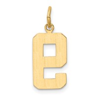 14K Yellow Gold Medium Polished Number 9 Charm view 3