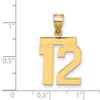 14K Yellow Gold Medium Polished Number 12 Charm view 2