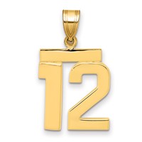 14K Yellow Gold Medium Polished Number 12 Charm view 1