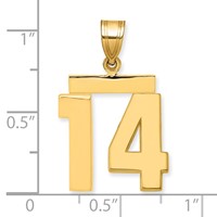 14K Yellow Gold Medium Polished Number 14 Charm view 2