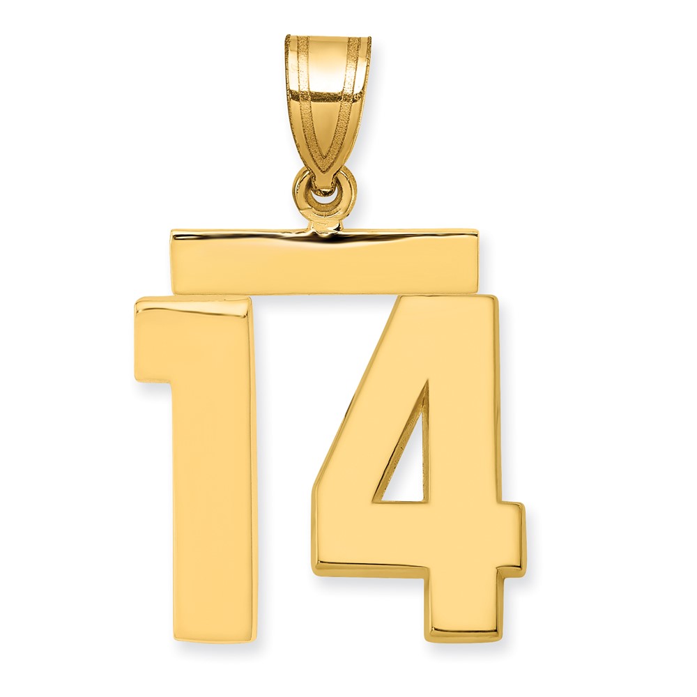14K Yellow Gold Medium Polished Number 14 Charm