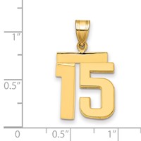 14K Yellow Gold Medium Polished Number 15 Charm view 2