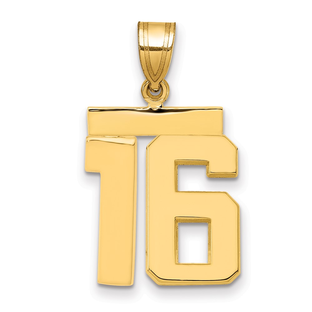 14K Yellow Gold Medium Polished Number 16 Charm