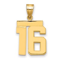 14K Yellow Gold Medium Polished Number 16 Charm view 1
