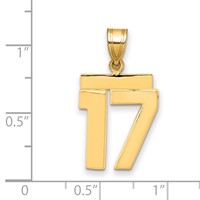 14K Yellow Gold Medium Polished Number 17 Charm view 2