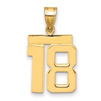 14K Yellow Gold Medium Polished Number 18 Charm view 1