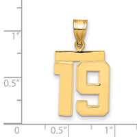 14K Medium Polished Number 19 Charm view 2