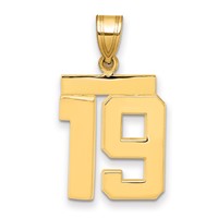 14K Medium Polished Number 19 Charm view 1