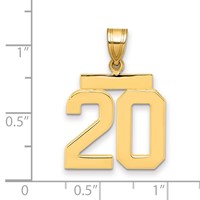 14K Yellow Gold Medium Polished Number 20 Charm view 2