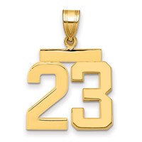 14K Yellow Gold Medium Polished Number 23 Charm view 1