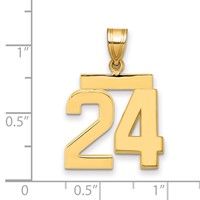 14K Yellow Gold Medium Polished Number 24 Charm view 2