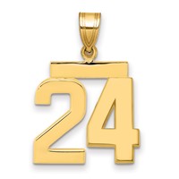 14K Yellow Gold Medium Polished Number 24 Charm view 1