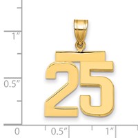 14K Yellow Gold Medium Polished Number 25 Charm view 2