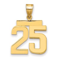 14K Yellow Gold Medium Polished Number 25 Charm view 1