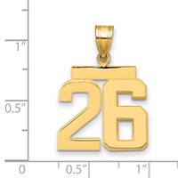 14K Yellow Gold Medium Polished Number 26 Charm view 2
