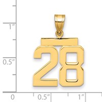 14K Yellow Gold Medium Polished Number 28 Charm view 2