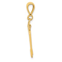 14K Yellow Gold Medium Polished Number 29 Charm view 2