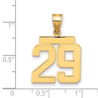 14K Yellow Gold Medium Polished Number 29 Charm view 3
