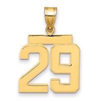 14K Yellow Gold Medium Polished Number 29 Charm view 1