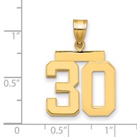 14K Yellow Gold Medium Polished Number 30 Charm view 2