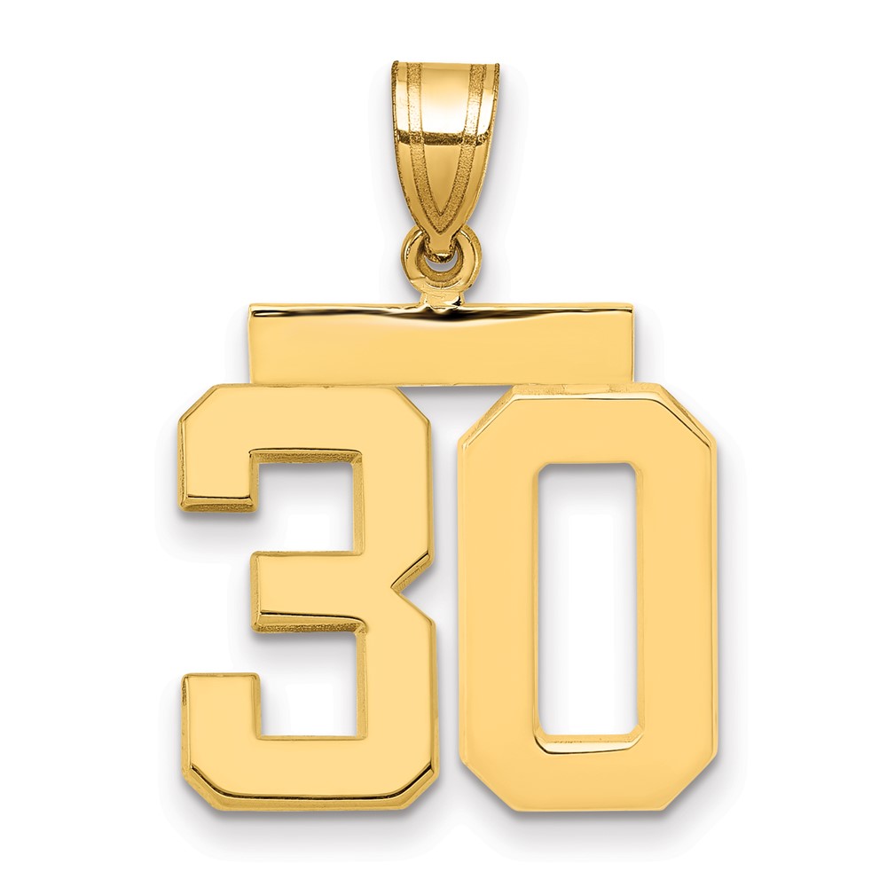 14K Yellow Gold Medium Polished Number 30 Charm