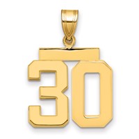 14K Yellow Gold Medium Polished Number 30 Charm view 1