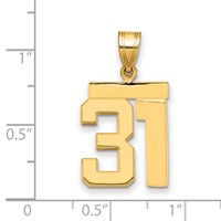14K Yellow Gold Medium Polished Number 31 Charm view 2