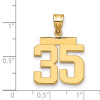 14K Yellow Gold Medium Polished Number 35 Charm view 2