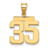 14K Yellow Gold Medium Polished Number 35 Charm view 1