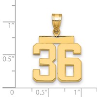 14K Yellow Gold Medium Polished Number 36 Charm view 2