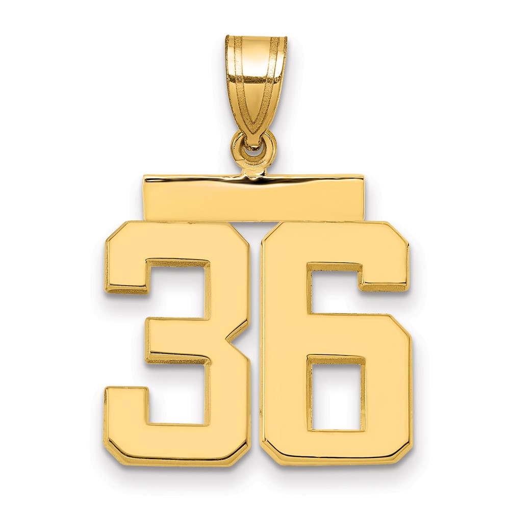 14K Yellow Gold Medium Polished Number 36 Charm
