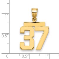 14K Yellow Gold Medium Polished Number 37 Charm view 2