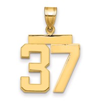 14K Yellow Gold Medium Polished Number 37 Charm view 1