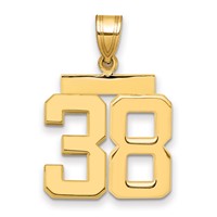 14K Yellow Gold Medium Polished Number 38 Charm view 1